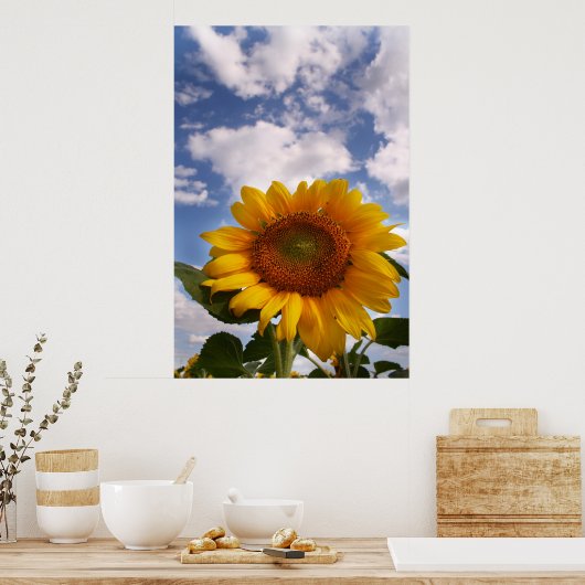 Sunflower Sky Poster (Keuken)