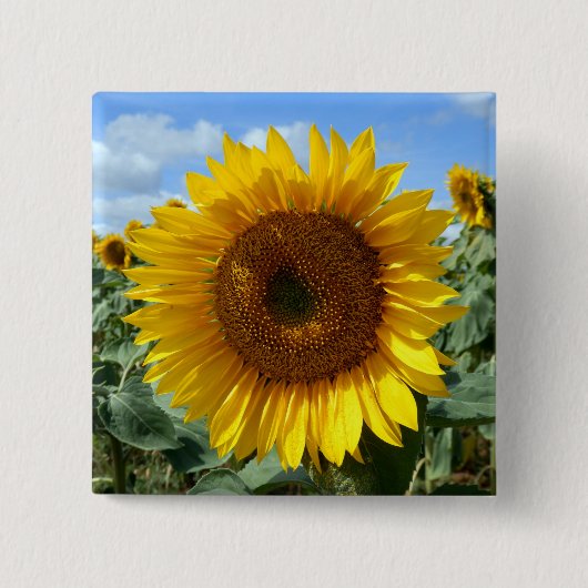 Sunflower Square Badge Vierkante Button 5,1 Cm (Voorkant)