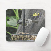Sunflower suet Chickadee Eating Muismat (Met muis)