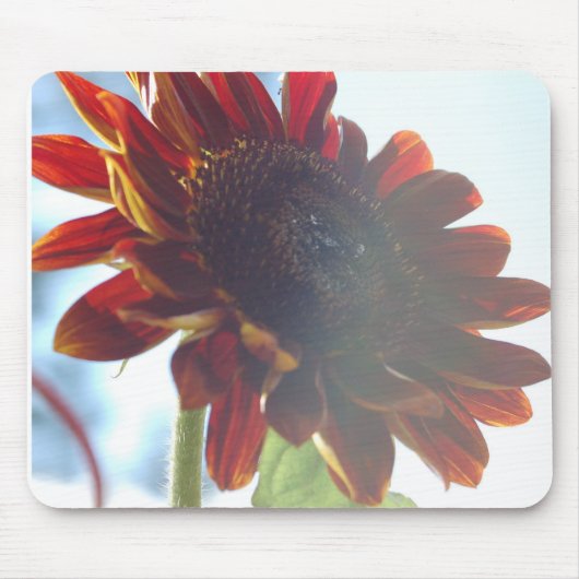 SunFlower Summer Muismat (Voorkant)