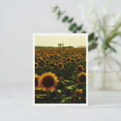 Sunflower Sunset, Sakura City, Japan Briefkaart (Staand voorkant)