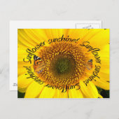 SUNFLOWER SUNSHINE ~ Briefkaart (Voorkant / Achterkant)