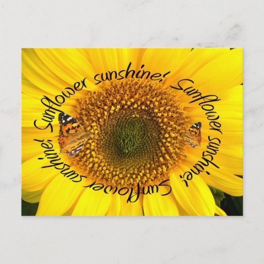 SUNFLOWER SUNSHINE ~ Briefkaart (Voorkant)