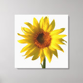 Sunflower Sunshine Canvas Afdruk (Voorkant)
