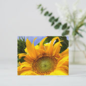 SUNFLOWER SUNSHINE ~ Postacrd Briefkaart (Staand voorkant)