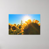 Sunflower Sunstar Canvas Afdruk (Voorkant)