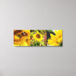 Sunflower Trio Canvas Afdruk
