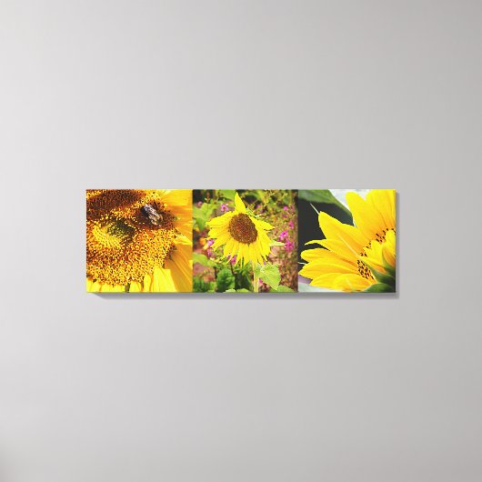 Sunflower Trio Canvas Afdruk (Voorkant)