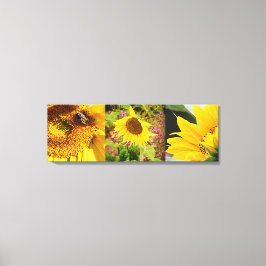 Sunflower Trio Canvas Afdruk
