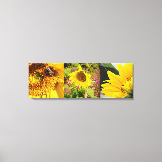 Sunflower Trio Canvas Afdruk