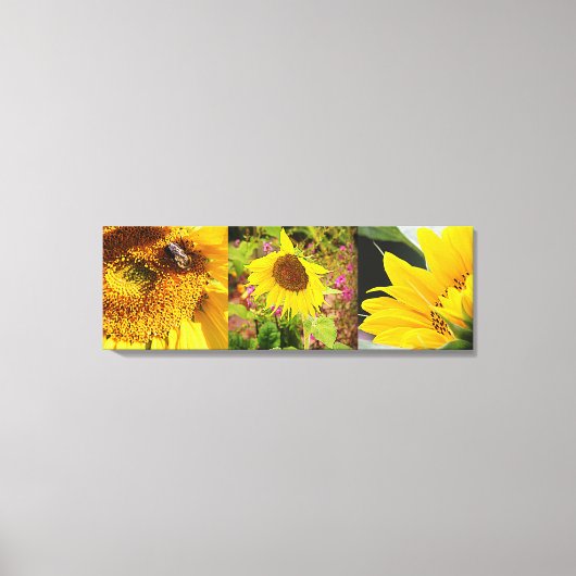 Sunflower Trio Canvas Afdruk (Voorkant)