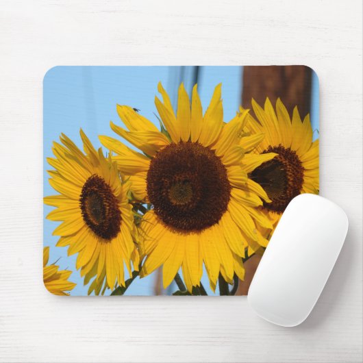 Sunflower Trio Mousepad Muismat (Met muis)