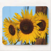 Sunflower Trio Mousepad Muismat (Voorkant)