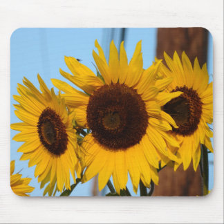 Sunflower Trio Mousepad Muismat