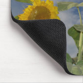 Sunflower Trio Muismat (Hoek)