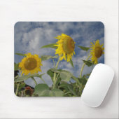 Sunflower Trio Muismat (Met muis)