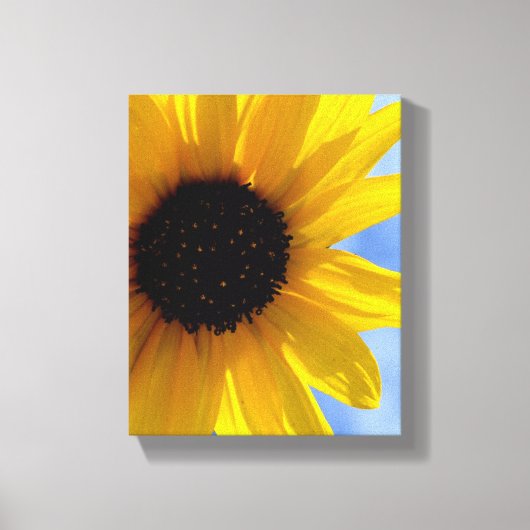 ~SuNFLoWeR TRio oN CaNVaS #1~ Afdruk (Voorkant)