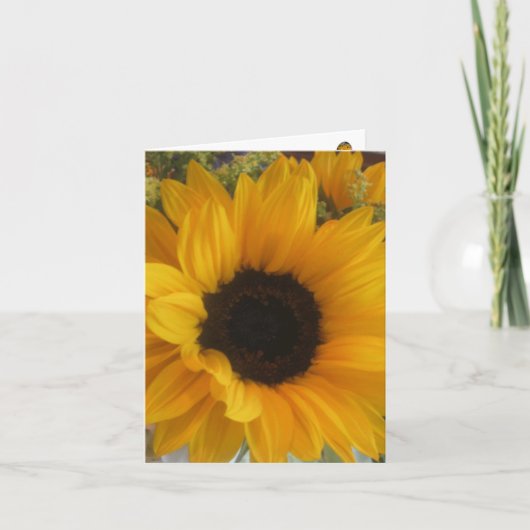 Sunflower Tune Notecard Kaart (Voorkant)