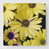 sunflower vierkante klok (Voorkant)