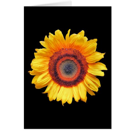 SUNFLOWER WENSKAART (Voorkant)
