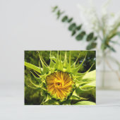 Sunflower Whirl Briefkaart (Staand voorkant)