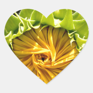 Sunflower Whirl Hart Sticker