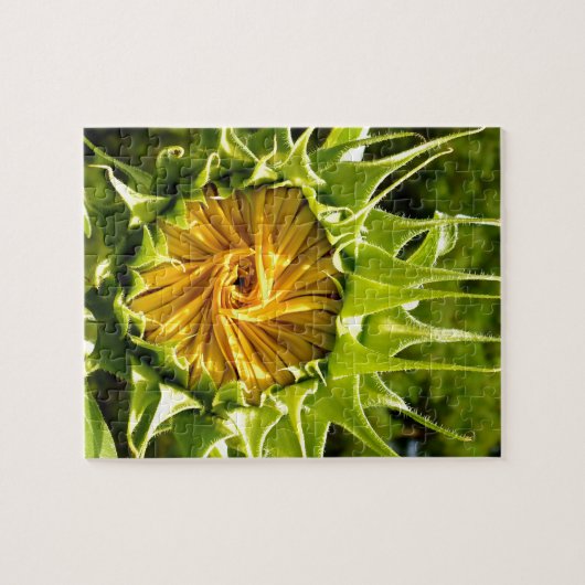 Sunflower Whirl Legpuzzel (Horizontaal)