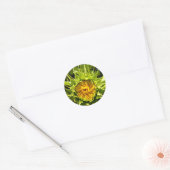 Sunflower Whirl Ronde Sticker (Envelop)