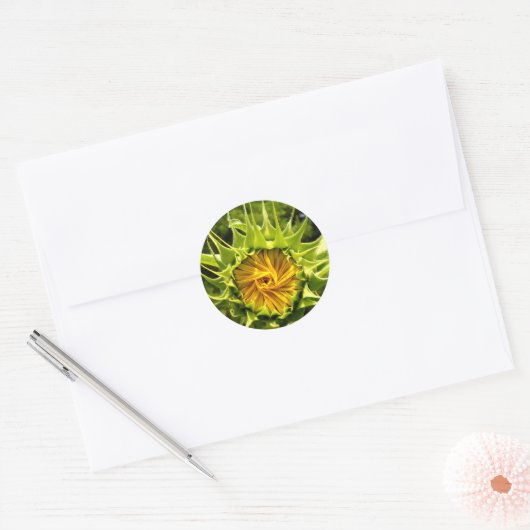 Sunflower Whirl Ronde Sticker (Envelop)