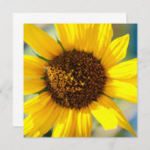 Sunflowers  (Voorkant / Achterkant)