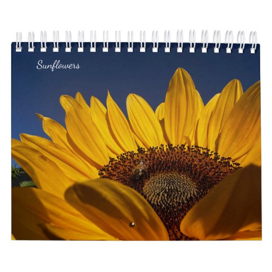 Sunflowers (2nd edition) kalender (Hoes)