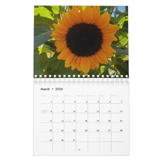 Sunflowers (2nd edition) kalender (Mar 2026)