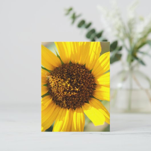 Sunflowers  briefkaart (Staand voorkant)