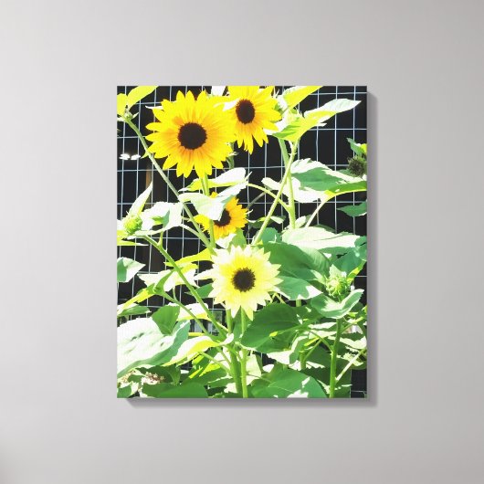 Sunflowers Canvas Afdruk (Voorkant)