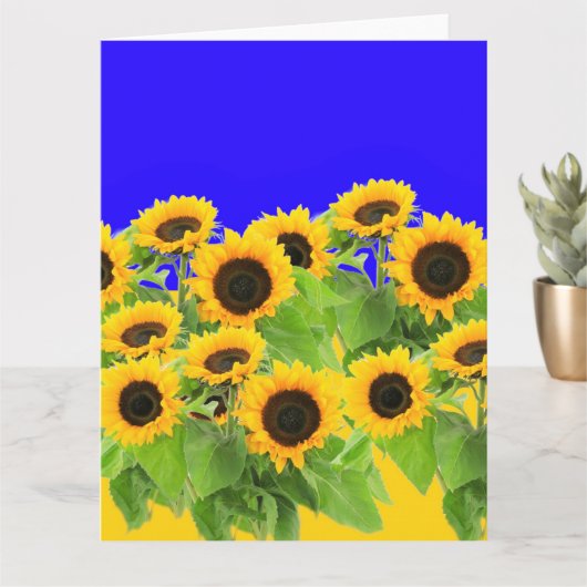 Sunflowers Card Ukraine Flag Colors Peace Freedom Kaart (Kleine Plant)
