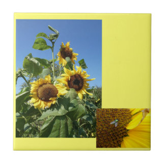 Sunflowers Ceramic Tile Tegeltje