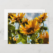 Sunflowers Feestdagenkaart (Voorkant / Achterkant)