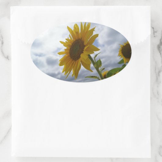 Sunflower's Glory Ovale Sticker (Tas)