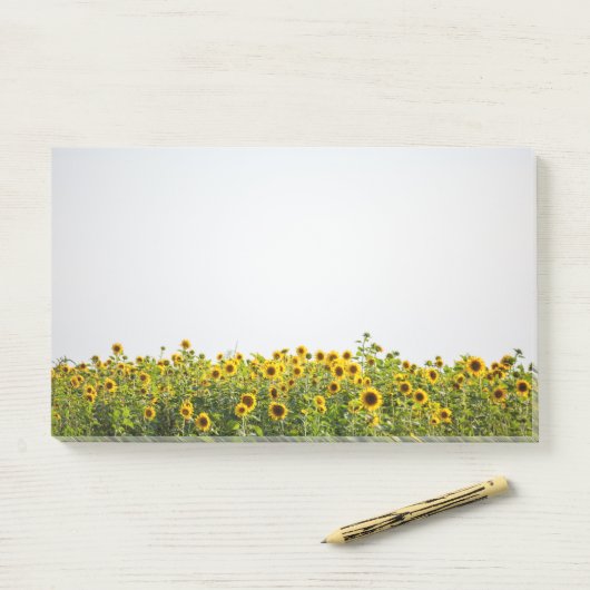 Sunflowers in a Field Post-it® Notes (Op bureau)