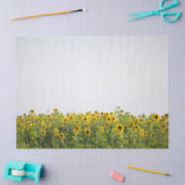 Sunflowers in a Field Tissuepapier (Craft)