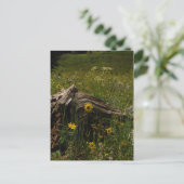 Sunflowers & log briefkaart (Staand voorkant)