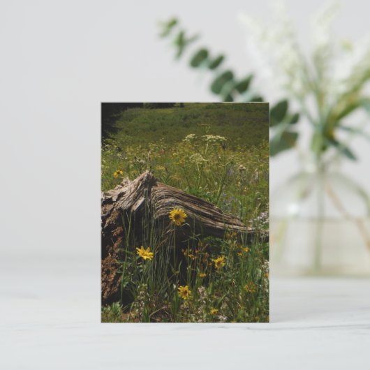 Sunflowers & log briefkaart (Staand voorkant)