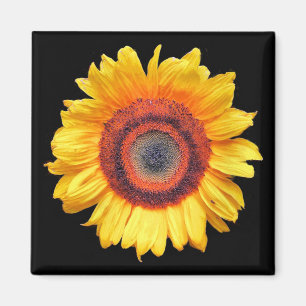 SUNFLOWERS MAGNEET