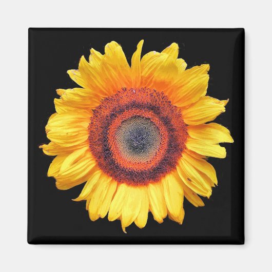 SUNFLOWERS MAGNEET (Voorkant)