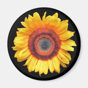 SUNFLOWERS MAGNEET