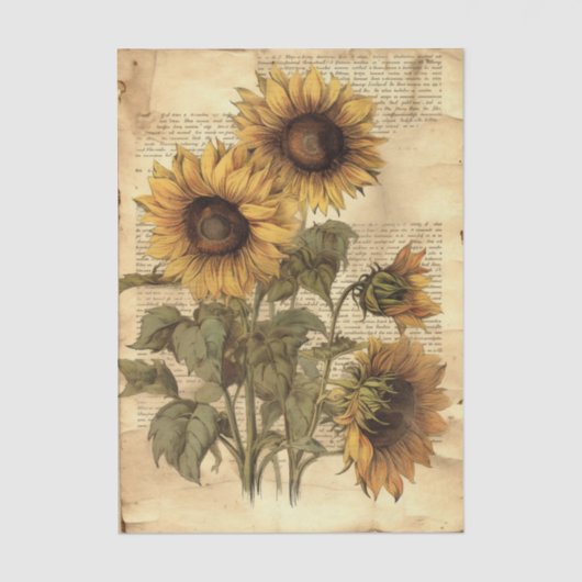 Sunflowers on Worn Style Parchment with Script Tissuepapier (Voorkant)