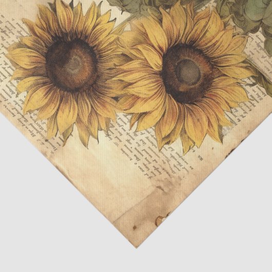 Sunflowers on Worn Style Parchment with Script Tissuepapier (Detail)