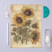 Sunflowers on Worn Style Parchment with Script Tissuepapier (Craft)