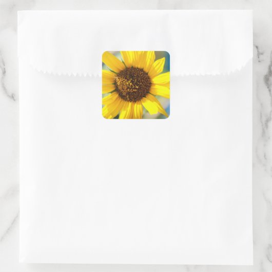 Sunflowers  vierkante sticker (Tas)