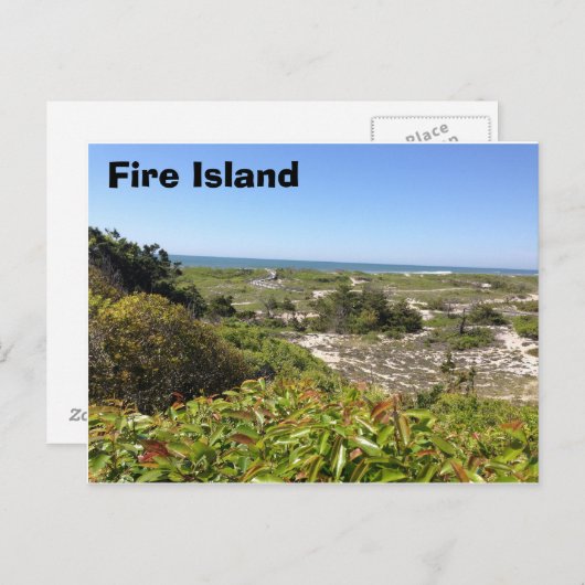 Sunken Forrest, Fire Island, NY Briefkaart (Voorkant / Achterkant)